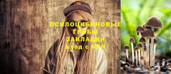 мдпв Липки