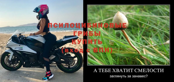 скорость Лиски